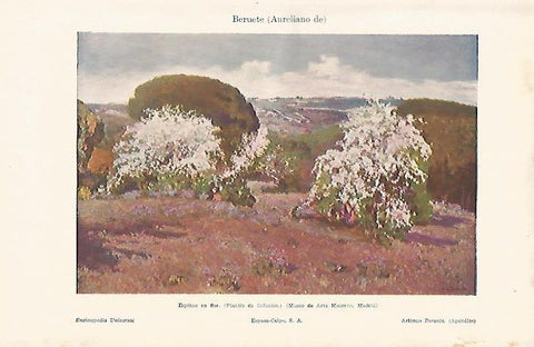LAMINA ESPASA 8157: Espinos en flor por Aureliano de Beruete