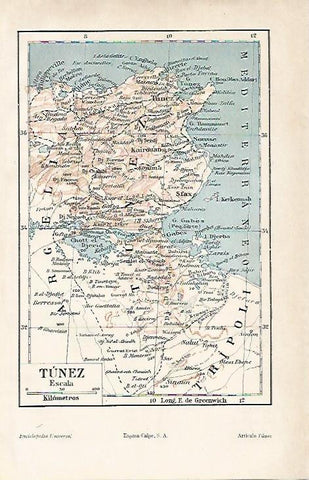 LAMINA ESPASA 11956: Mapa de Tunez