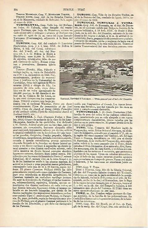 LAMINA ESPASA 12067: Vista general de Turtucai Rumania