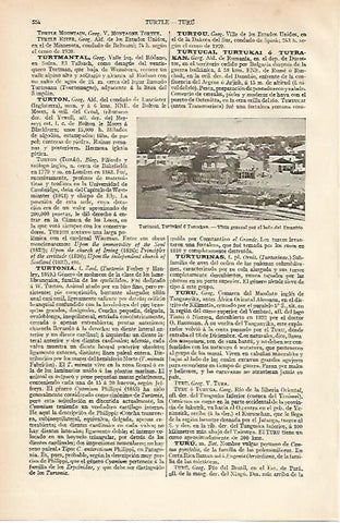 LAMINA ESPASA 12067: Vista general de Turtucai Rumania