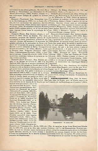 LAMINA ESPASA 18824: Palacio Real de Erdmannadorf Alemania