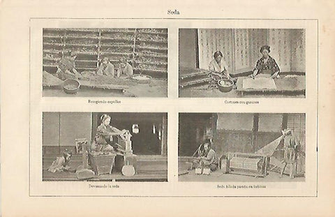 LAMINA ESPASA 19657: Fabricacion de la seda en China