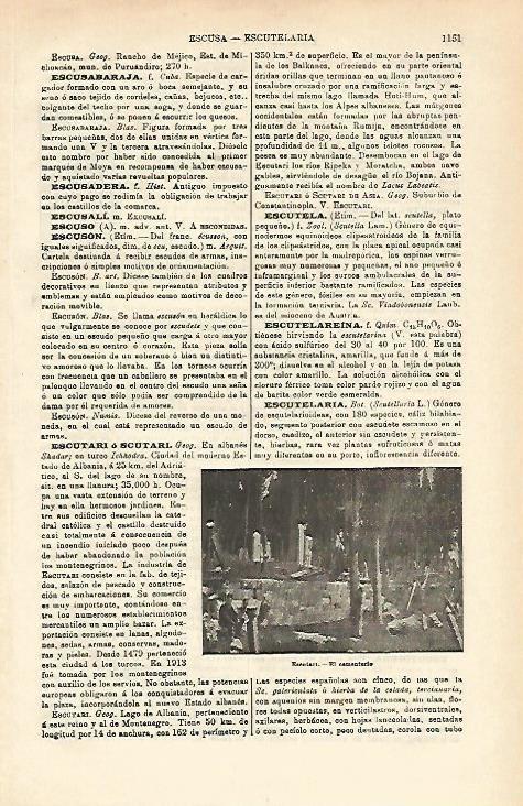 LAMINA ESPASA 16668: Cementerio de Escutari Albania