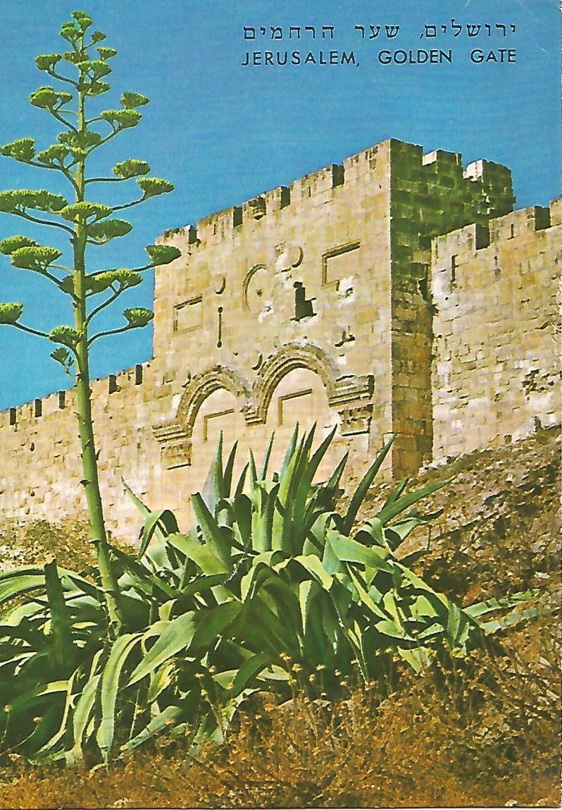 Postal 52119: JERUSALEN - Puerta de Oro