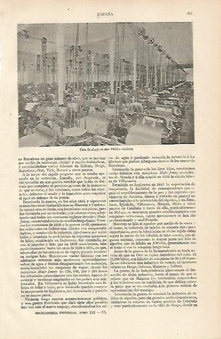 LAMINA ESPASA 10119: Sala de tisaje en una fabrica catalana