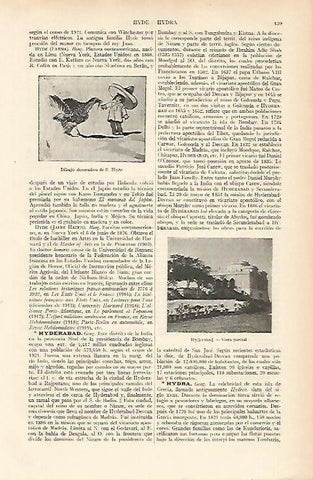 LAMINA ESPASA 9196: Dibujo de E. Hyde. Vista parcial de Hyderabad India