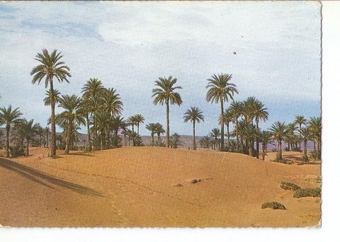 Postal 022566 : Oasis de MHamid, Le Maroc Pittoresque