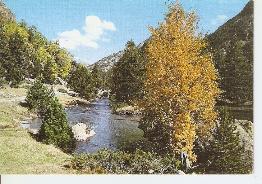 Postal 033958 : Pirineu Catala. Parc Nacional dAigues Tortes. Riu Sant Nicolau
