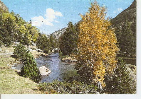 Postal 033958 : Pirineu Catala. Parc Nacional dAigues Tortes. Riu Sant Nicolau