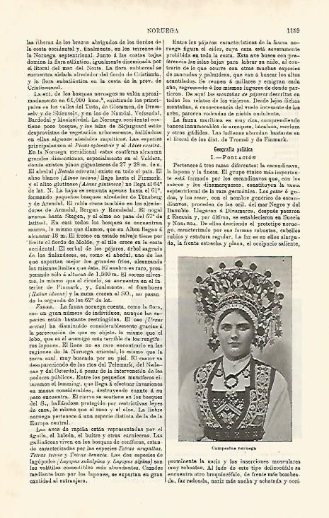 LAMINA ESPASA 20262: Campesina de Noruega
