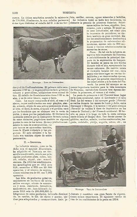 LAMINA ESPASA 20263: Vaca y toro de Telemarken