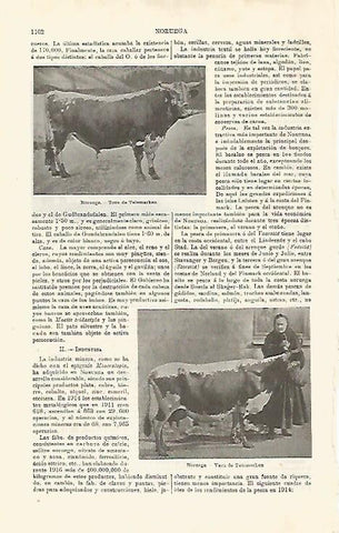 LAMINA ESPASA 20263: Vaca y toro de Telemarken