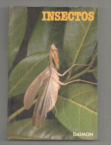 Insectos y aracnidos