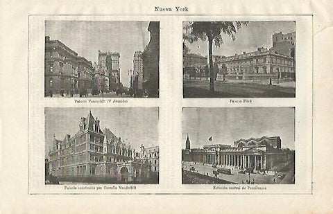 LAMINA ESPASA 20330: Nueva York