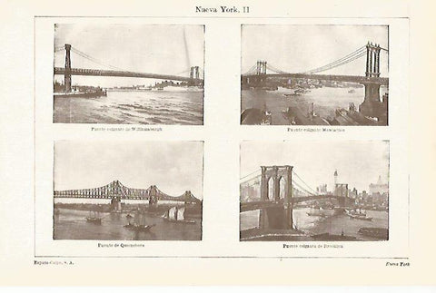LAMINA ESPASA 20332: Puentes de Nueva York