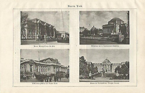 LAMINA ESPASA 20334: Bibliotecas y Museos de Nueva York
