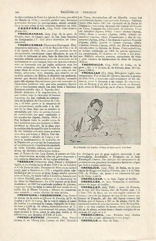 LAMINA ESPASA 20378: Escribiendo a la familia por S. Tresilian