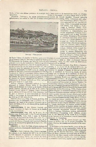 LAMINA ESPASA 20389: Vista de Trevoux Francia