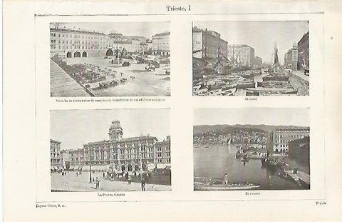 LAMINA ESPASA 20413: Trieste Italia