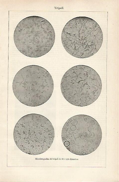 LAMINA ESPASA 20440: microfotografias del tripoli