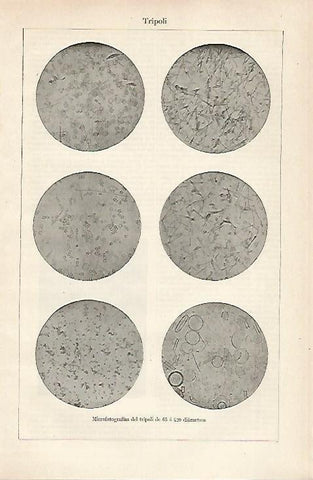 LAMINA ESPASA 20440: microfotografias del tripoli