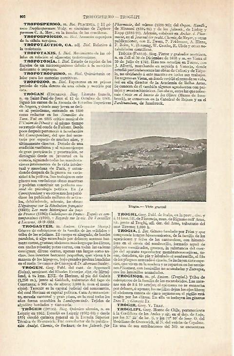 LAMINA ESPASA 20481: Vista de Trogen Suiza