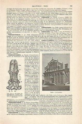 LAMINA ESPASA 20484: Catedral de Troia Italia