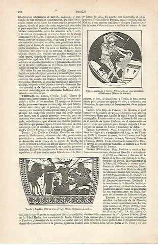 LAMINA ESPASA 20485: Troilo y Aquiles
