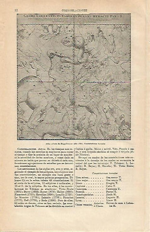 LAMINA ESPASA 20585: Atlas celeste de Doppelmeyer
