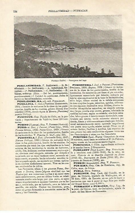 LAMINA ESPASA 20651: Lago de Pusiano Italia