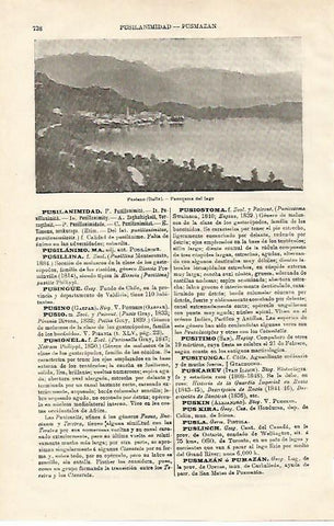 LAMINA ESPASA 20651: Lago de Pusiano Italia