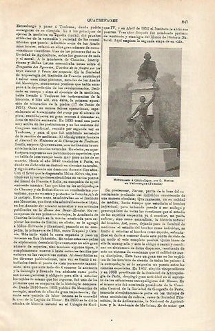 LAMINA ESPASA 20667: Monumento a Quatrefages en Valleraugne