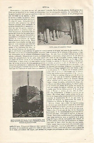 LAMINA ESPASA 20728: Quilla de barco