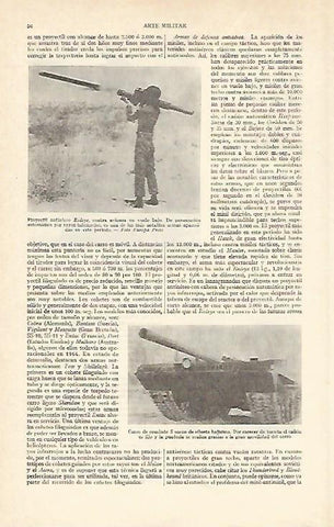LAMINA ESPASA 20769: Proyectil antiaereo Redeye y Carro de combate sueco