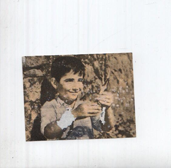 Cromo: Marcelino Pan y Vino numero 082