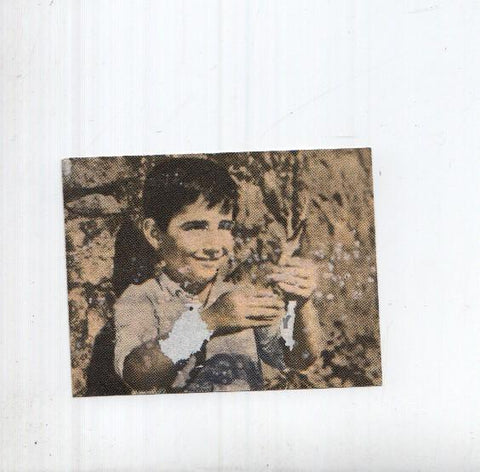 Cromo: Marcelino Pan y Vino numero 082