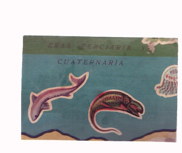 Cromos: de la Selva Misteriosa a los abismos del mar: numero 004: cromo de la lamina Animales de diversas eras