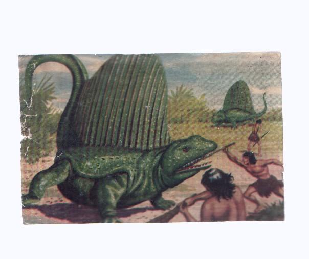 Cromos: de la Selva Misteriosa a los abismos del mar: numero 012
