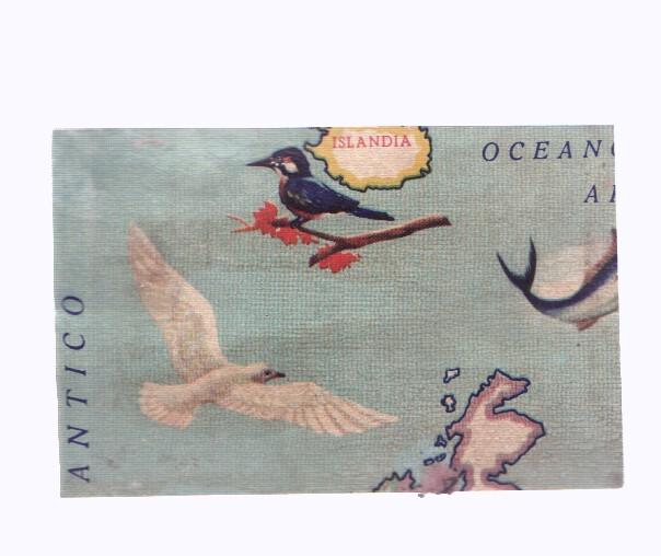 Cromos: de la Selva Misteriosa a los abismos del mar: numero 021: Mapa zoologico de Europa, parte