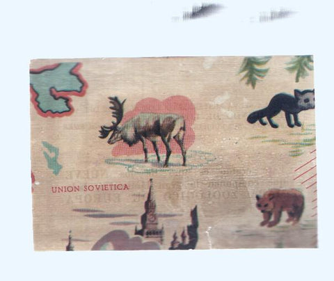 Cromos: de la Selva Misteriosa a los abismos del mar: numero 023: Mapa zoologico de Europa, parte