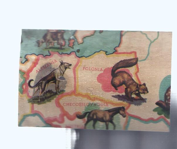 Cromos: de la Selva Misteriosa a los abismos del mar: numero 025: Mapa zoologico de Europa, parte