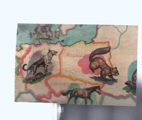 Cromos: de la Selva Misteriosa a los abismos del mar: numero 025: Mapa zoologico de Europa, parte
