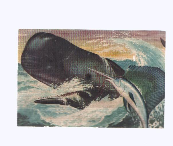 Cromos: de la Selva Misteriosa a los abismos del mar: numero 039: Espadachin del mar