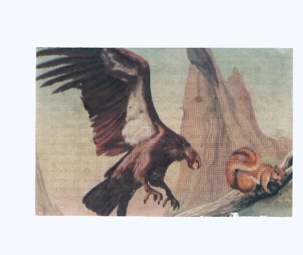 Cromos: de la Selva Misteriosa a los abismos del mar: numero 045: Piratas del espacio