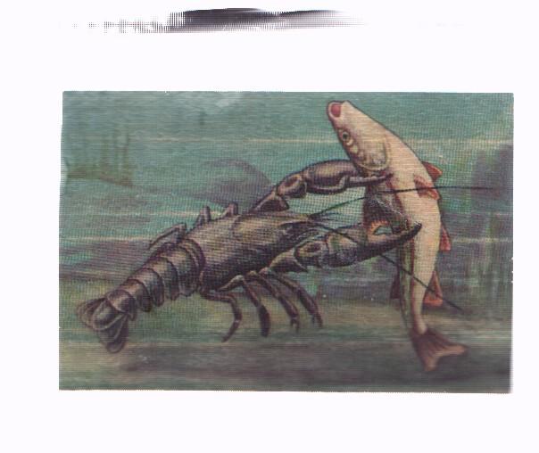 Cromos: de la Selva Misteriosa a los abismos del mar: numero 051: El coracero de destructoras tenazas