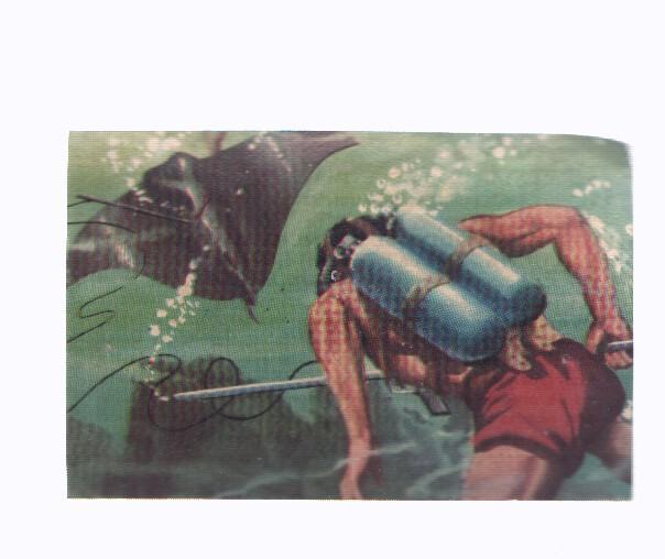Cromos: de la Selva Misteriosa a los abismos del mar: numero 053: El mundo del silencio agitado por la lucha