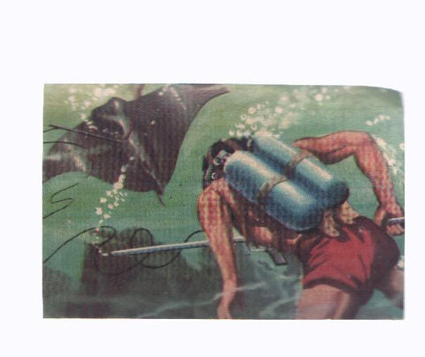 Cromos: de la Selva Misteriosa a los abismos del mar: numero 053: El mundo del silencio agitado por la lucha