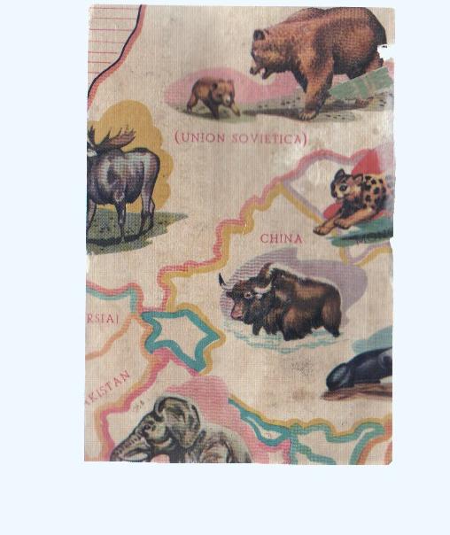 Cromos: de la Selva Misteriosa a los abismos del mar: numero 058: Mapa zoologico de asia, parte