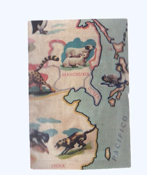 Cromos: de la Selva Misteriosa a los abismos del mar: numero 059: Mapa zoologico de asia, parte