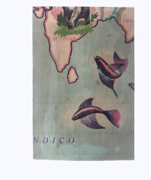 Cromos: de la Selva Misteriosa a los abismos del mar: numero 061: Mapa zoologico de asia, parte